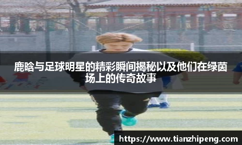 鹿晗与足球明星的精彩瞬间揭秘以及他们在绿茵场上的传奇故事